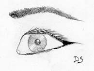 eye.jpg (7823 bytes)