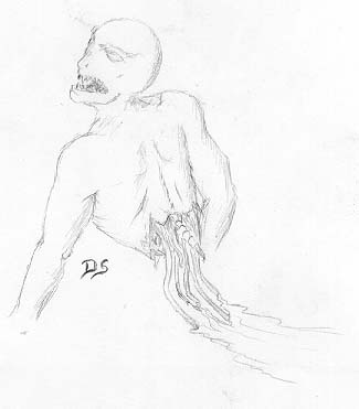 gore.jpg (11723 bytes)